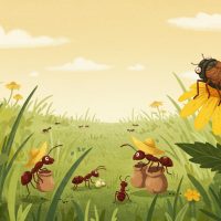 개미와 매미 – 노력은 반드시 보답받는다