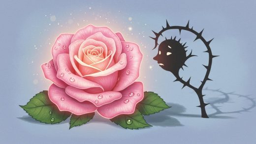 가장 행복한 장미꽃은 누구였을까? – 행복한 장미꽃 논쟁.