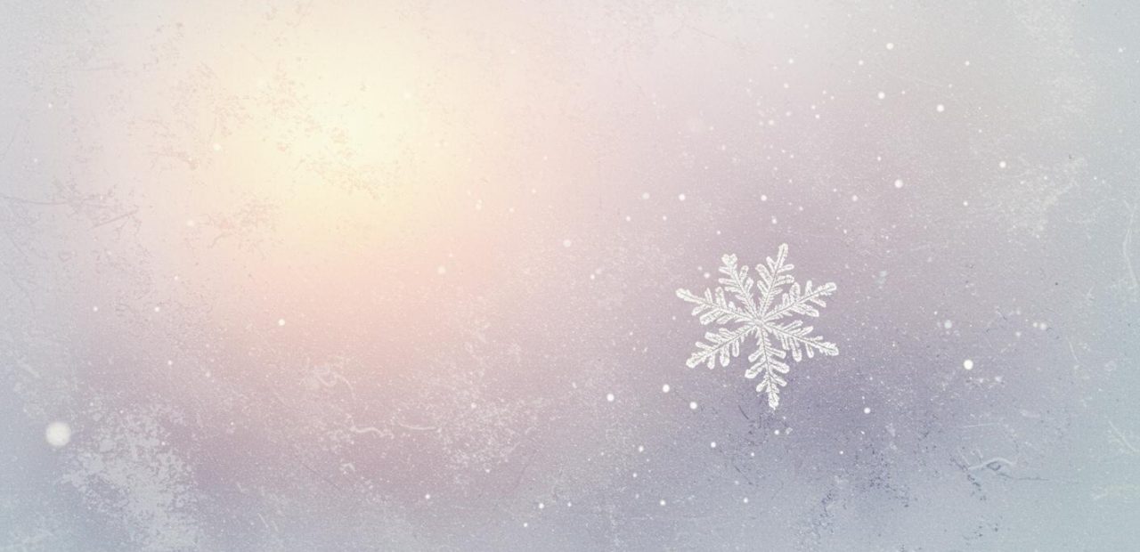 마지막 눈송이 - 변화를 예고하는 겨울의 눈송이