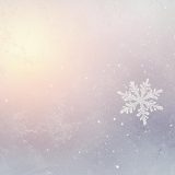 마지막 눈송이 - 변화를 예고하는 겨울의 눈송이