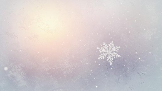 마지막 눈송이 - 변화를 예고하는 겨울의 눈송이