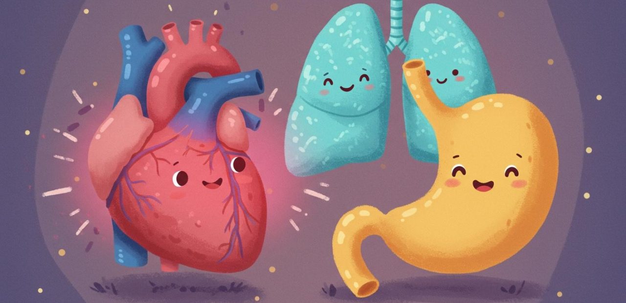 만화로 쉽게 이해하는 해부생리학,사카이 다쓰오,의료·보건 관련 업무 종사자를 위한 인체 구조와 기능에 대한 만화 학습서